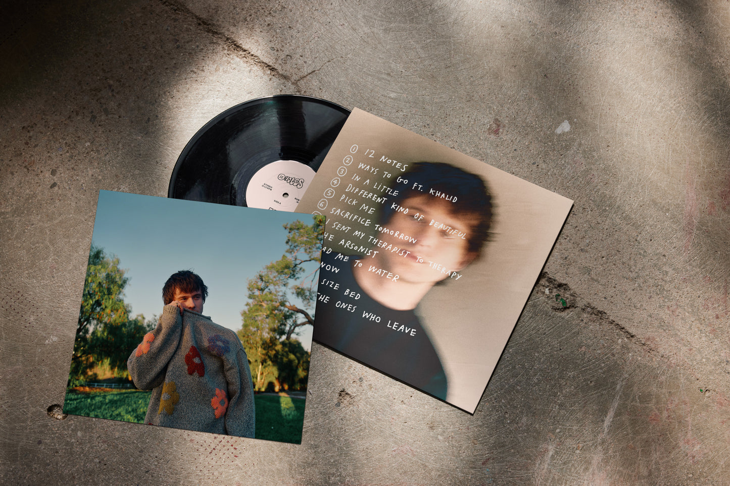 12 Notes Vinyl with signed insert - PRE-ORDER